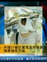 中国21省区遭高温热浪袭击 8月初或迎来降温